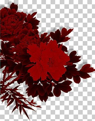 Red Moutan Peony PNG Clipart Adobe Illustrator Encapsulated