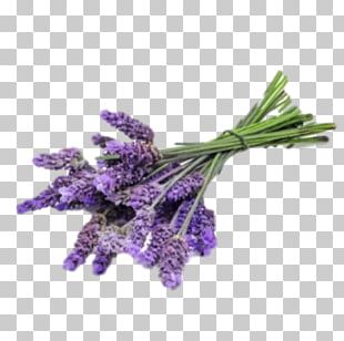 Essential Oil Lavender Oil Perfume PNG Clipart Almond Oil Aroma