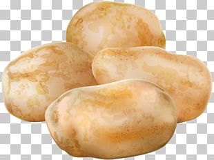 Portable Network Graphics Russet Burbank Potato Transparency PNG