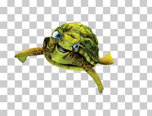 Turtle Animation PNG, Clipart, Animals, Animation, Cartoon, Clip Art ...