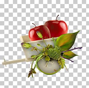 Savior Of The Apple Feast Day Fruit Auglis PNG