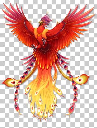 Phoenix Logo Drawing PNG, Clipart, Artwork, Beak, Clip Art, Computer ...