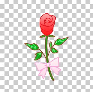 Garden Roses Cut Flowers PNG