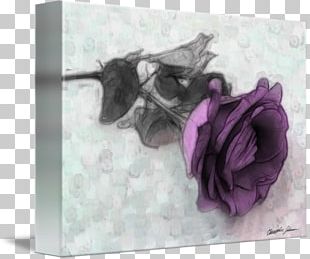 Purple Violet Flower Lilac Lavender PNG