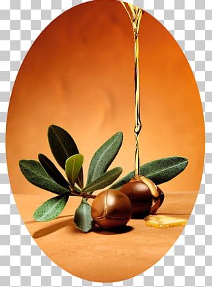 Argan Oil Cosmetics Hair Care PNG