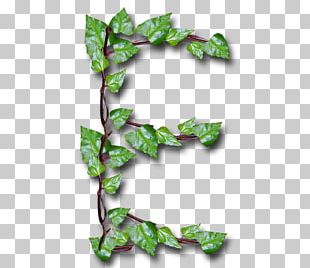 Letter Common Ivy YouTube Leaf Alphabet Inc. PNG