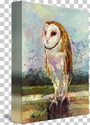 Owl Watercolor Painting Watermedia Bird PNG