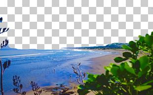 Island Beach PNG, Clipart, Adobe Illustrator, Beach, Beaches, Beach ...