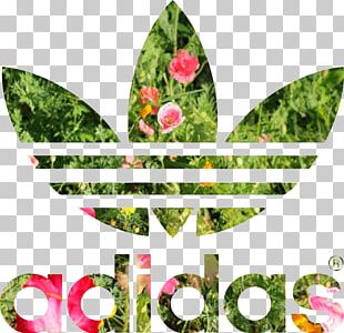 Roblox T Shirt Adidas Suit Pants Png Clipart Adidas Adidas Originals Avatar Clothing Costume Free Png Download - t shirt roblox hoodie clothing t shirt purple adidas png pngegg