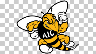 AIC Yellow Jackets Logo PNG