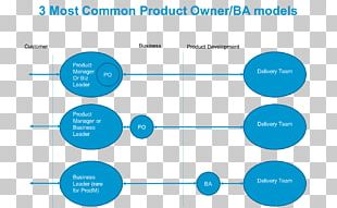 Business Analyst Product Manager Systems Analyst PNG