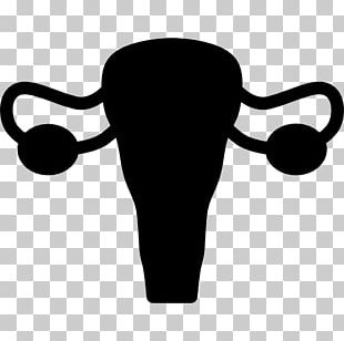 Female Reproductive System Organ G-spot PNG, Clipart, Anatomy, Female ...