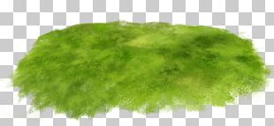 Data Compression Lawn Meadow PNG