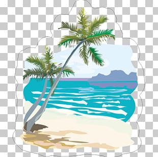 Sea Beach Shore PNG, Clipart, Beach, Beaches, Beach Party, Calm ...