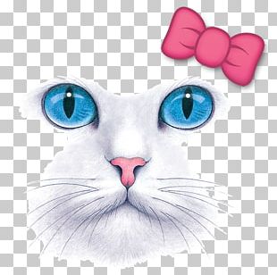 Whiskers Roblox Avatar T Shirt Cat Png Clipart Asiatic Peafowl Avatar Avatar Series Bendy And The Ink Machine Blog Free Png Download - whiskers roblox avatar t shirt cat png clipart asiatic