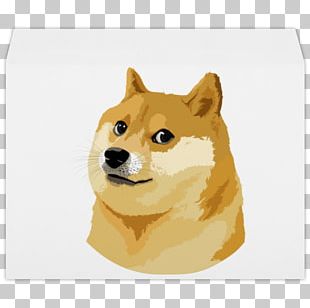 Doge T Shirt Roblox Get Robux Info - how to edit roblox game picture roblox how to get free doge hat