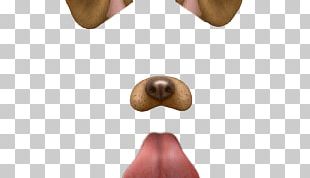 Download Dog Face Filter Png | PNG & GIF BASE