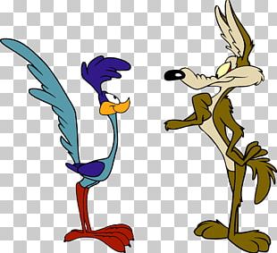 Wile E. Coyote And The Road Runner Looney Tunes Cartoon PNG, Clipart ...