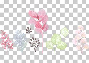 Bird Flower Butterfly Watercolor Painting PNG