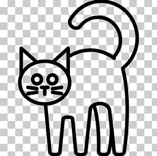 Whiskers Cat Gray Wolf Computer Icons PNG