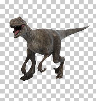 Tyrannosaurus Dinosaur Animation PNG, Clipart, Allosaurus, Animal ...