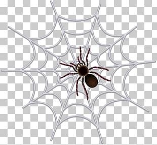 Spider Web Cricut PNG