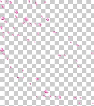 Beach Rose Petal Drop Flower PNG