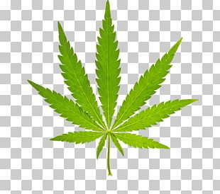 Medical Cannabis Hemp Computer Icons PNG, Clipart, 420 Day, Black And ...