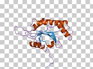 Text Protein Organism Png, Clipart, Art, C 55, D 2, Fragment, Graphic 