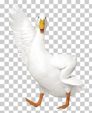 aflac duck clipart