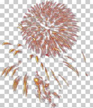 Fireworks Drawing Gratis PNG