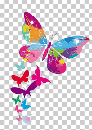 Butterfly Color PNG, Clipart, Arthropod, Brush Footed Butterfly ...