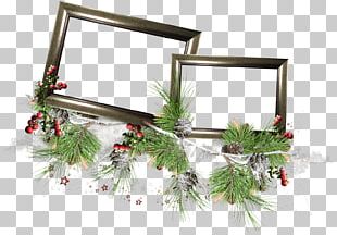 Frames Photography Png, Clipart, Body Jewelry, Border, Border Frames 