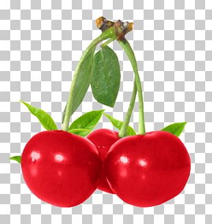 Chocolate Bar Fruit Cherry Sugar Vegetable PNG