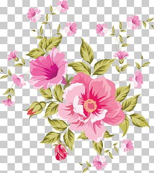 Floral Design Flower Drawing PNG