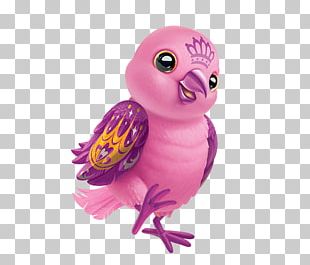 Parrot Beak Bird Portable Network Graphics PNG