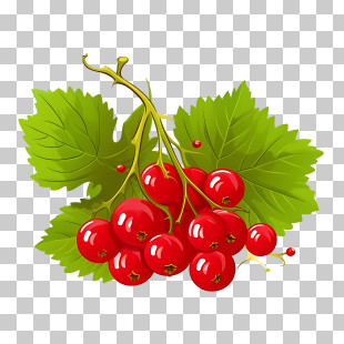 Cranberries
 - Red Currants And Green Leaves Illustration For Natural Food Concept PNG