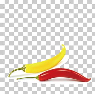 Bell Pepper Chili Pepper Vegetable Black Pepper PNG, Clipart, Abgoals ...