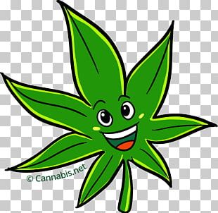 White Widow Marijuana Cannabis Leaf PNG, Clipart, Cannabis, Clip Art ...