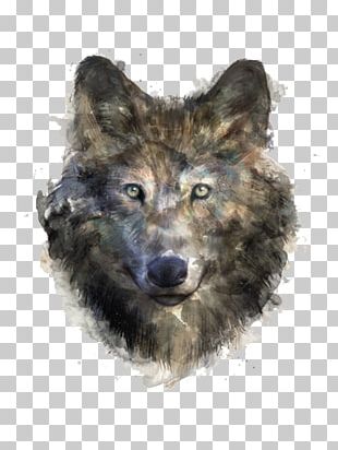 Gray Wolf T-shirt Black Wolf Drawing Illustration PNG