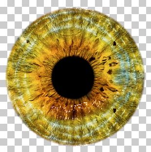 Human Eye Pupil PNG