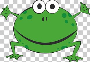 Frog And Toad Amphibian Child PNG