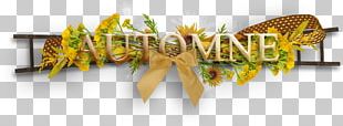 Autumn PNG