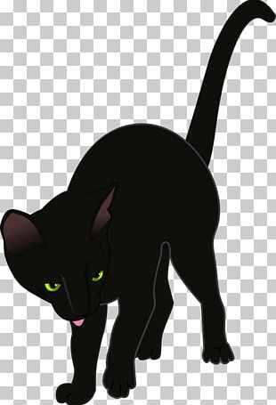 Black Cat Burmese Cat Kitten Domestic Short-haired Cat Whiskers PNG