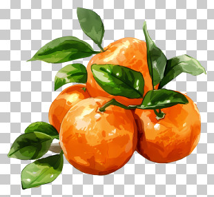 Clementines - Bunch Of Oranges With Leaves PNG