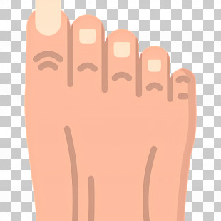 Foot Toe - Foot With Toes Illustration PNG