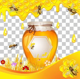 Honey Bee Honeycomb Illustration PNG, Clipart, Animal, Animals ...