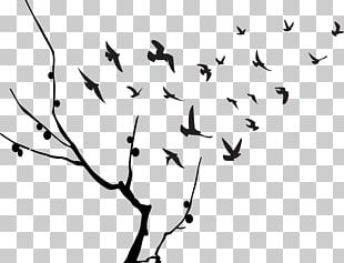 Bird Flight Flock PNG, Clipart, Animal Migration, Animals, Beak, Bird ...