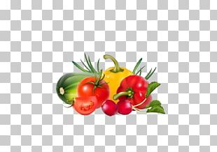 Vegetable Fruit Illustration PNG