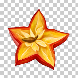 Starfruit - Bright Star-Shaped Tropical Fruit Illustration PNG